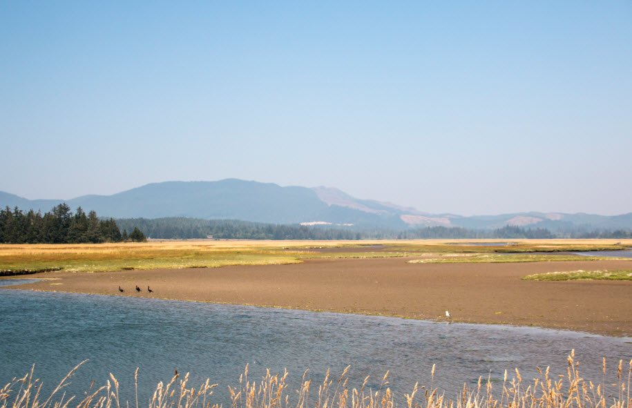 Sitka Sedge State Natural Area, Oregon, USA